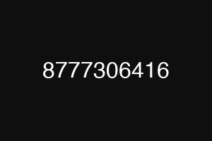 8777306416