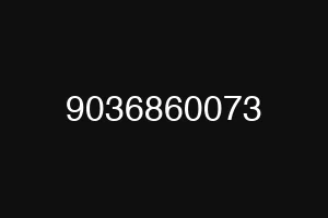 9036860073