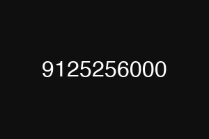 9125256000