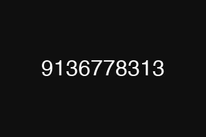 9136778313