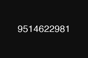 9514622981